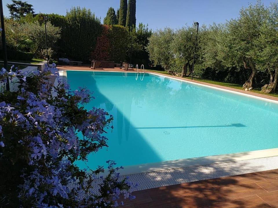 Visit Rome From A Quiet Place Apartment Frascati